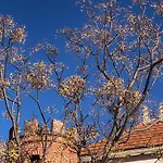 בית הארחה Chateau De La Sybille, Vue Imprenable Sur Le Canigou Et Les Orgues D'ille Sur Tet Ille-sur-Têt