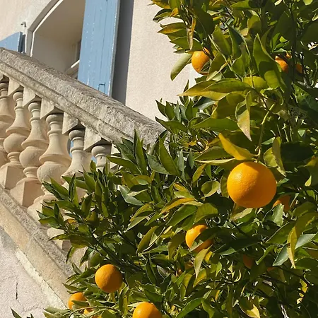 Penzion Chateau De La Sybille, Vue Imprenable Sur Le Canigou Et Les Orgues D'ille Sur Tet Ille-sur-Têt